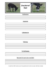 Esel-Steckbriefvorlage.pdf